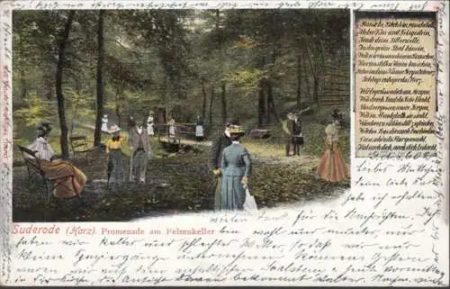 AK Suderode Promenade au sous-sol rocheux, couru en 1902