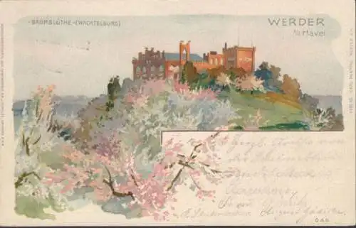 Werder Havel Baumblüte Wachtelburg, gelaufen 1904