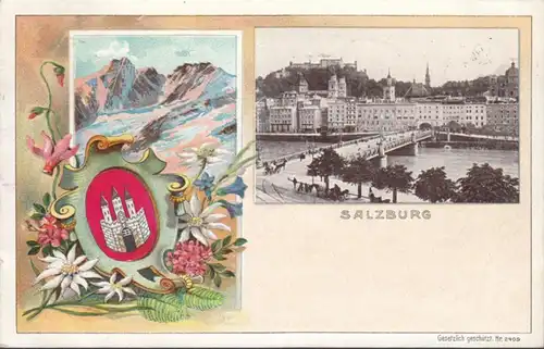AK Salzburg Wappen Stadtansicht, gelaufen 1909