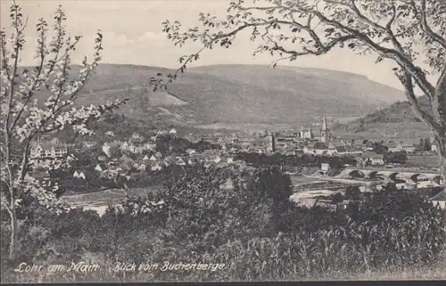 AK Lohr am Main Blick vom Buchenberge, ungelaufen