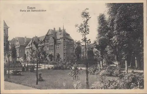 AK Essen Partie am Bernewäldchen, gelaufen 1911