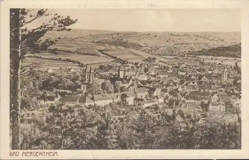AK Bad Mergentheim Stadtansichtal, ungelaufen