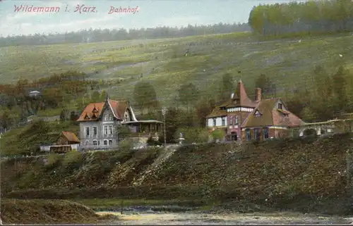 AK Wildemann i. Harz Bahnhof, gelaufen 1914