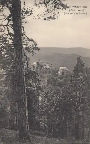 AK Schwarzburg Blick auf das Schloß, gelaufen 1921