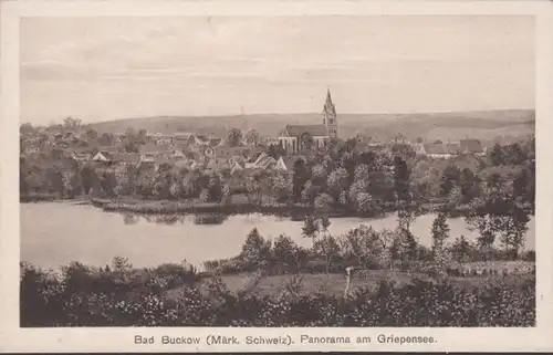 AK Bad Buckow Panorama am Griepensee, ungelaufen