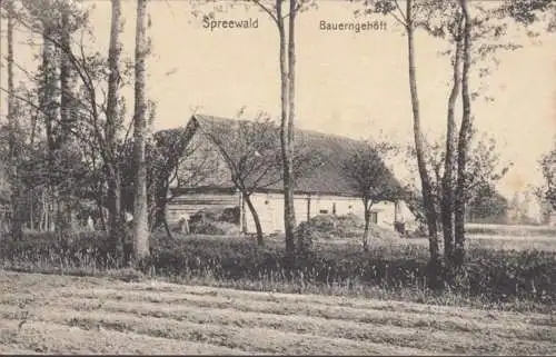 AK Spreewald Bauerngehöft, gelaufen 1909