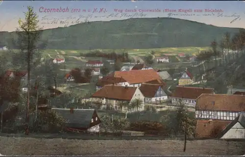 AK Czorneboh Weg durch Cunewalde, gelaufen 1924