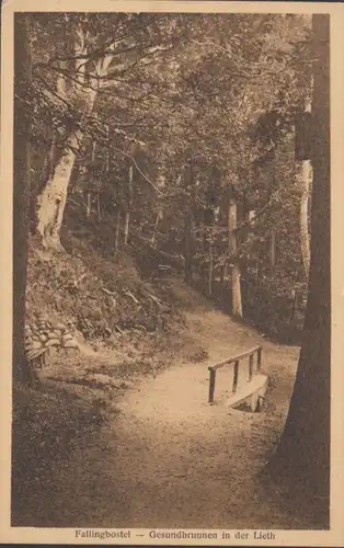 AK Fallingborstel Gesundbrunnen in der Lieth, gelaufen 1925