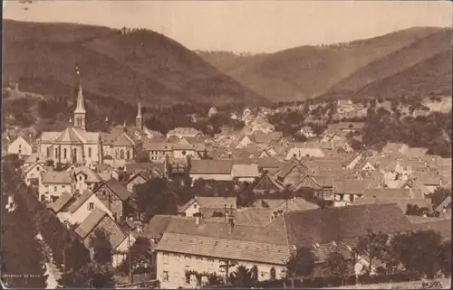 CPA Niederbronn-les-Bains Vue Générale, circulé 1924