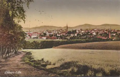 AK Löbau Panoramansicht, gelaufen 1924