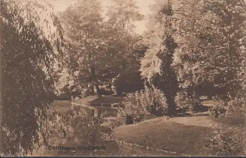 AK Cottbus Stadtpark, couru en 1926