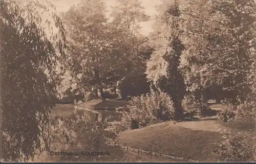 AK Cottbus Stadtpark, gelaufen 1926