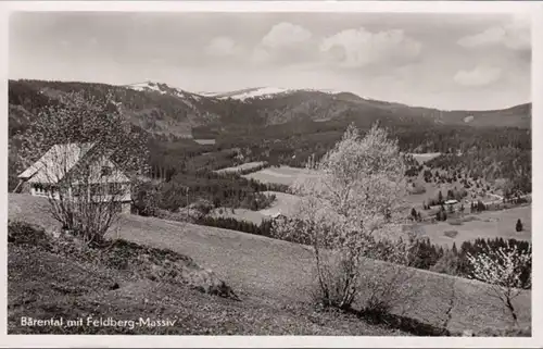 AK Bärental Feldberg-Massiv, ungelaufen