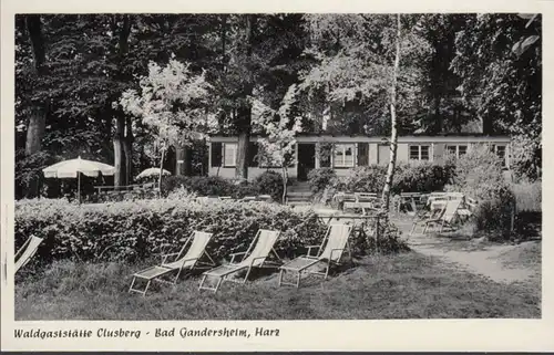 AK Bad Gandersheim Waldgaststätte Clusberg, ungelaufen