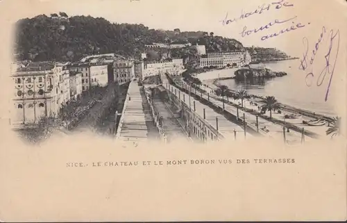 CPA Nice Le Château et le Mont Boron Vue des Terrasses, circulé 1904