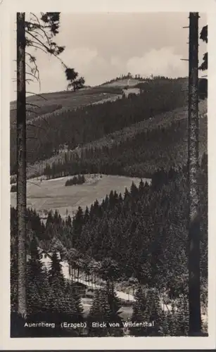 AK Auersberg Blick von Wildenthal, ungelaufen, datiert 1932