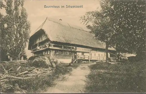 AK Bauernhaus im Schwarzwald, ungelaufen