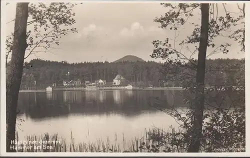 AK Hammer am See Hotel Seehof, gelaufen 1930