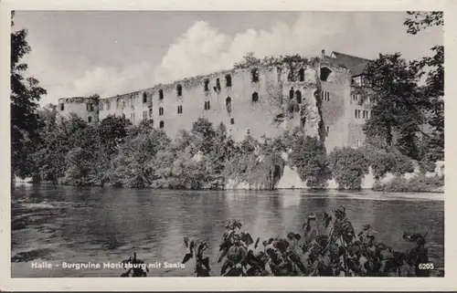 AK Halle Burgruine Moritzburg mit Saale, ungelaufen