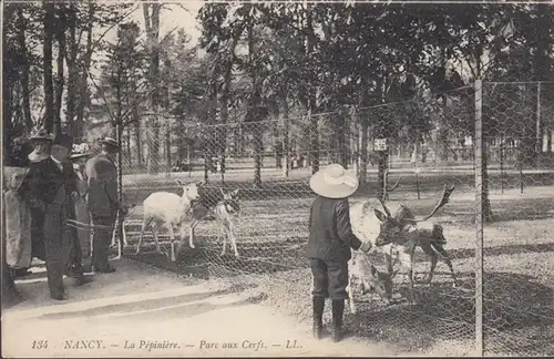 CPA Nancy La Pépiniére Parc aux Cerf, circulé 1912