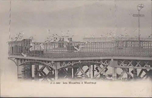 CPA Les Mouettes à Montreux, circulé 1905
