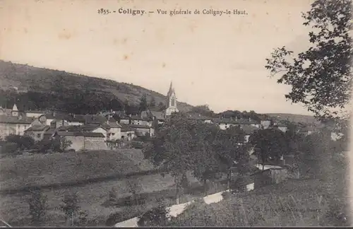 CPA Coloigny Vue générale de Coligny le Haut, non circulé