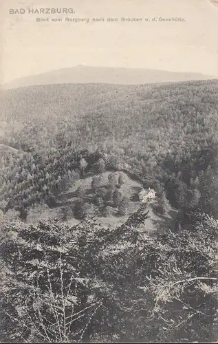 AK Bad Harzburg Vue du château après le Brocken et la cabane de Sennhütte, couru en 1906