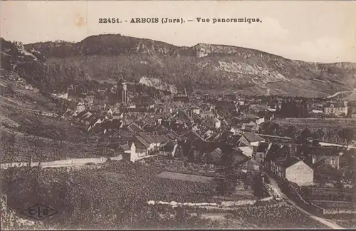 CPA Arbois Vue panoramique, non circulé