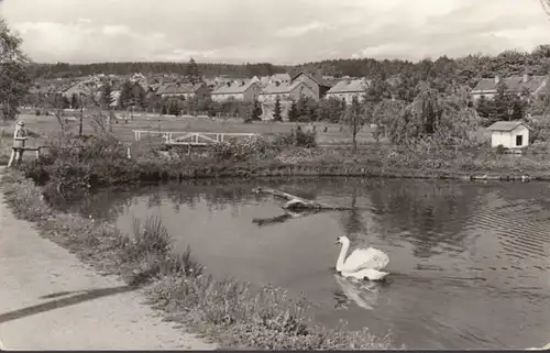 AK Tambach-Dietharz Stadtansicht Teich Schwan, gelaufen