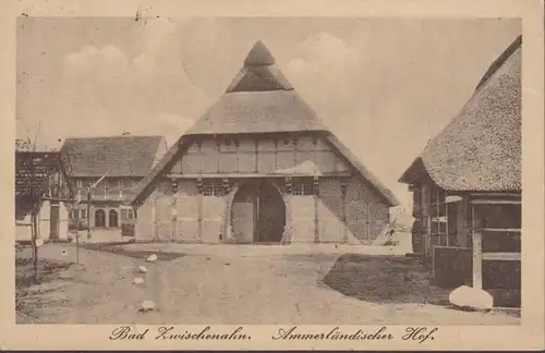 AK Bad Zwischenahn Ammerländischer Hof, gelaufen 1920