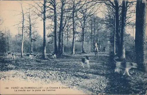 CPA Foret de Rambouillet La Chasse a Courre La meute sur la piste de l'animal, non circulaire