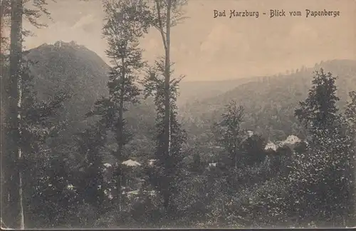 AK Bad Harzburg Blick vom Papenberge, gelaufen  1926