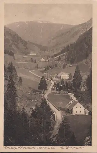 Feldberg St.Wilhelmertal, ungelaufen