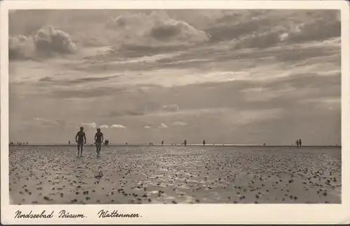 Bain de mer du Nord Büsum Waddenmeer, incurvé