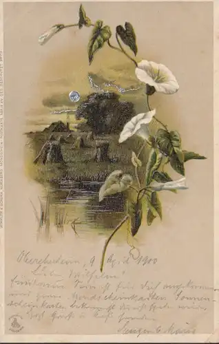 Winkler und Schorn Mondschein Postkarte, gelaufen 1900