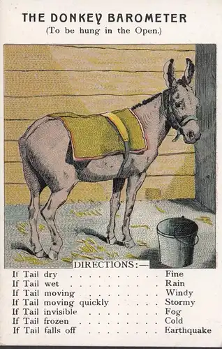 The Donkey Barometer To be hung in the Open, ungelaufen