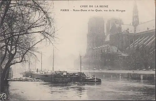 CPA Crue de la Seine Paris Notre Dame et les Quais vus de La Morgue, non circulaire