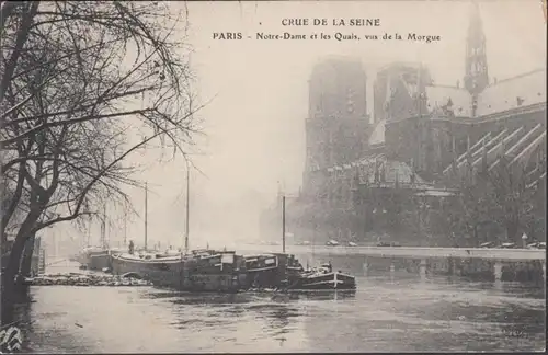 CPA Crue de la Seine Paris Notre Dame et les Quais vus de la Morgue, non circulé