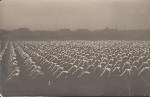 München, 13 Turnfest 1923, Synchronturnen im Freien, ungelaufen