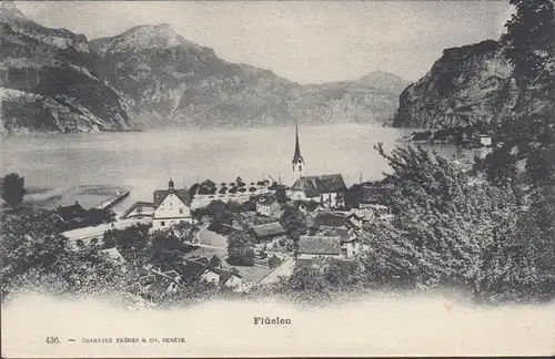 Vue panoramique flüelen avec lac d'Urner, incurvée