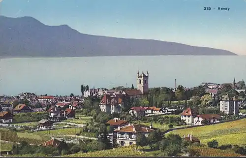 Vevey Gesamtansicht, ungelaufen