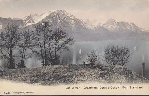 Lac Léman Grammont Dents d'Oche et Mont Blanchard, couru en 1908