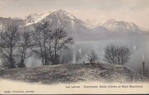 Lac Léman Grammont Dents d'Oche et Mont Blanchard, gelaufen 1908