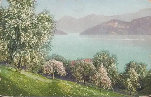 Frühjahr am Vierwaldstätter See, gelaufen 1912