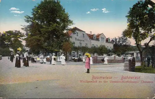 Moritzburg Baumwiese, Bahnwiese, Waldgasthof an der Dresden-Moritzburger Chaussee, ungelaufen