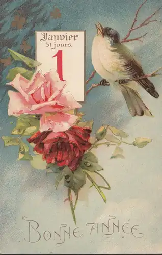 Bonne Année Janvier 31 jours, 1, Les oiseaux et les roses