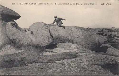 Ploumanac'h Le Mammouth de la Baie de Saint Guiree, non circulaire