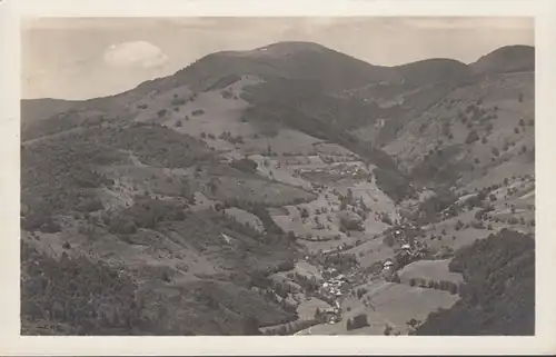 Belle maison avec des ailes et des bois, incurvée