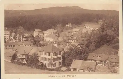 Le Hohwald, Vue générale, circulé 1925