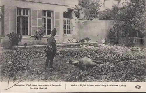 Chaseur d'Afrique assisant à l' agonie de son cheval, Camp Retranché de Paris, Artillerie, non circulé